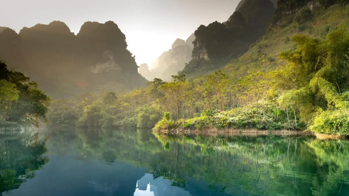 绿色高性能高性能