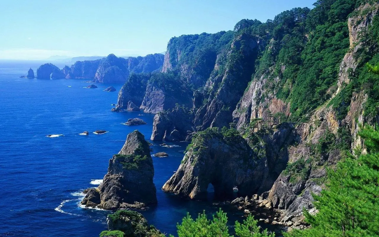 高效新型